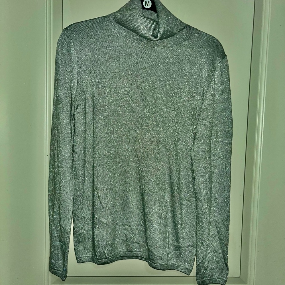 Ann Taylor Women's Shimmering Silver Turtleneck Sweater